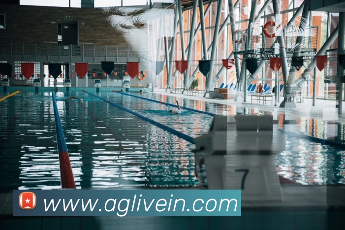 多媒体互动体验