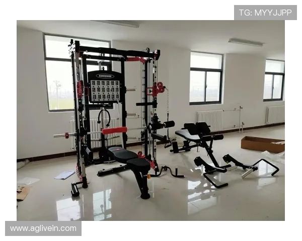 健身器材厂家与器械分类详解,如何选择高性价比产品 健身器材厂家与器械分类详解,如何选择高性价比产品