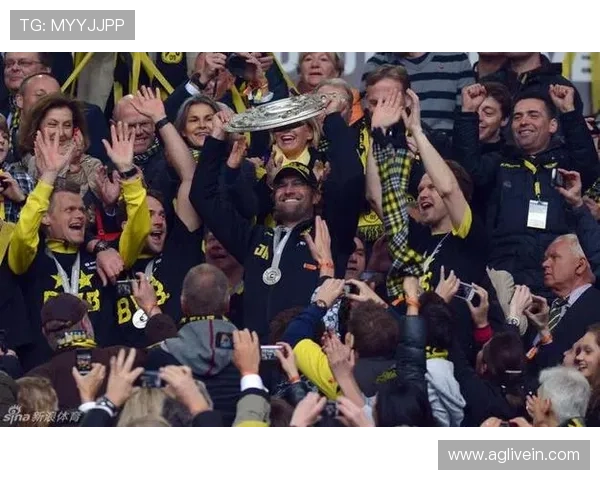 德甲联赛中没有德甲冠军的球队盘点